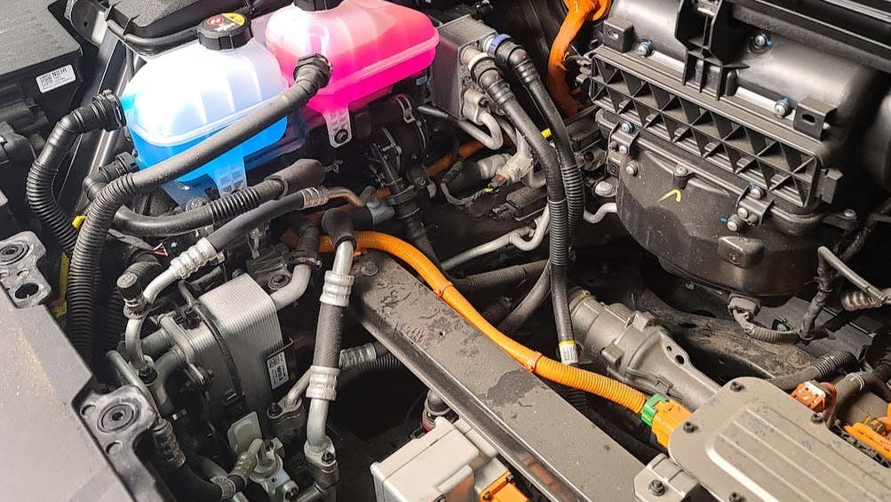 66b4c5da2e752412db3f0782 66831f4a867ee64d0e40e5c5photo 8