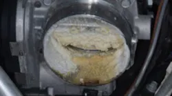 Throttle body blade free-up is possible on the 3.6L V6 engine.