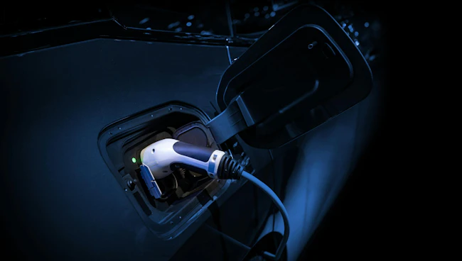 66c398394f675814565eab25 Ru 81