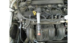 67250644fec9354b4706e4eb Untitled Design 20241101t124735 67250644fec9354b4706e4eb Untitled Design 20241101t124735