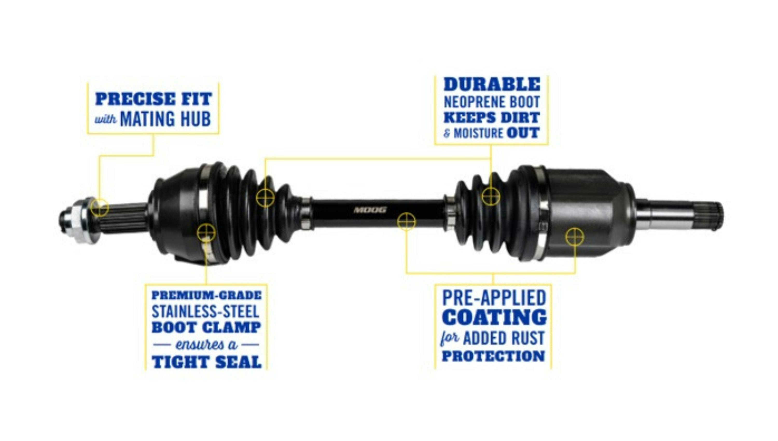 untitled_design__20241105t105807