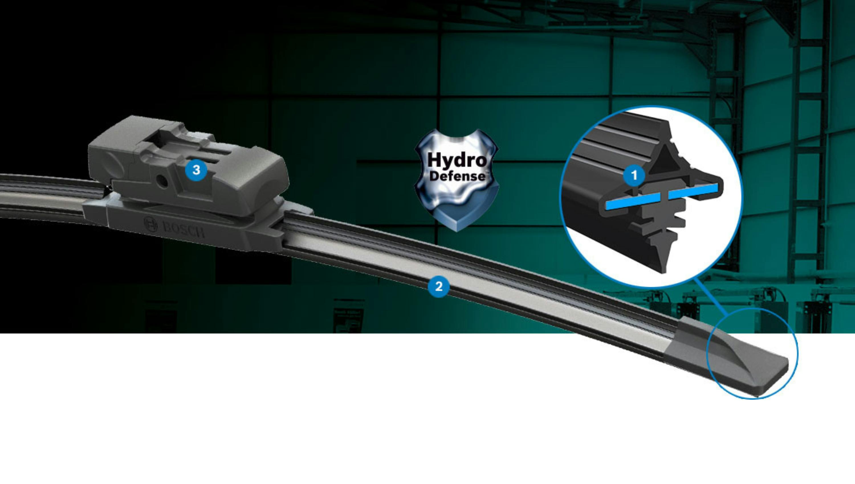 untitled_design__20241105t185558