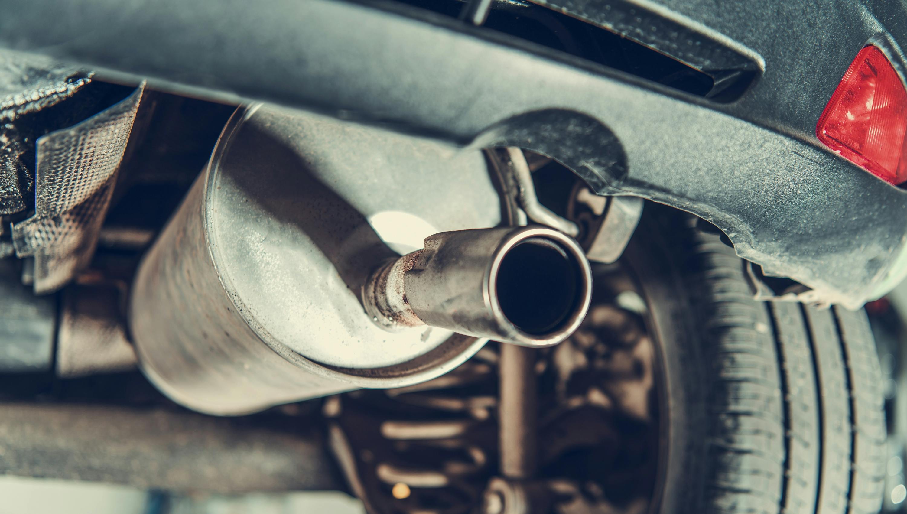 untitled_design__20241219t141606