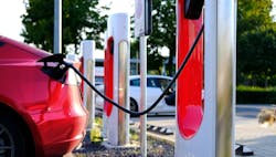 67659b19e2bd984ea02346b8 Untitled Design 20241220t112436 67659b19e2bd984ea02346b8 Untitled Design 20241220t112436