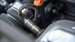 algrex3aistockx3agettyimagesplus algrex3aistockx3agettyimagesplus