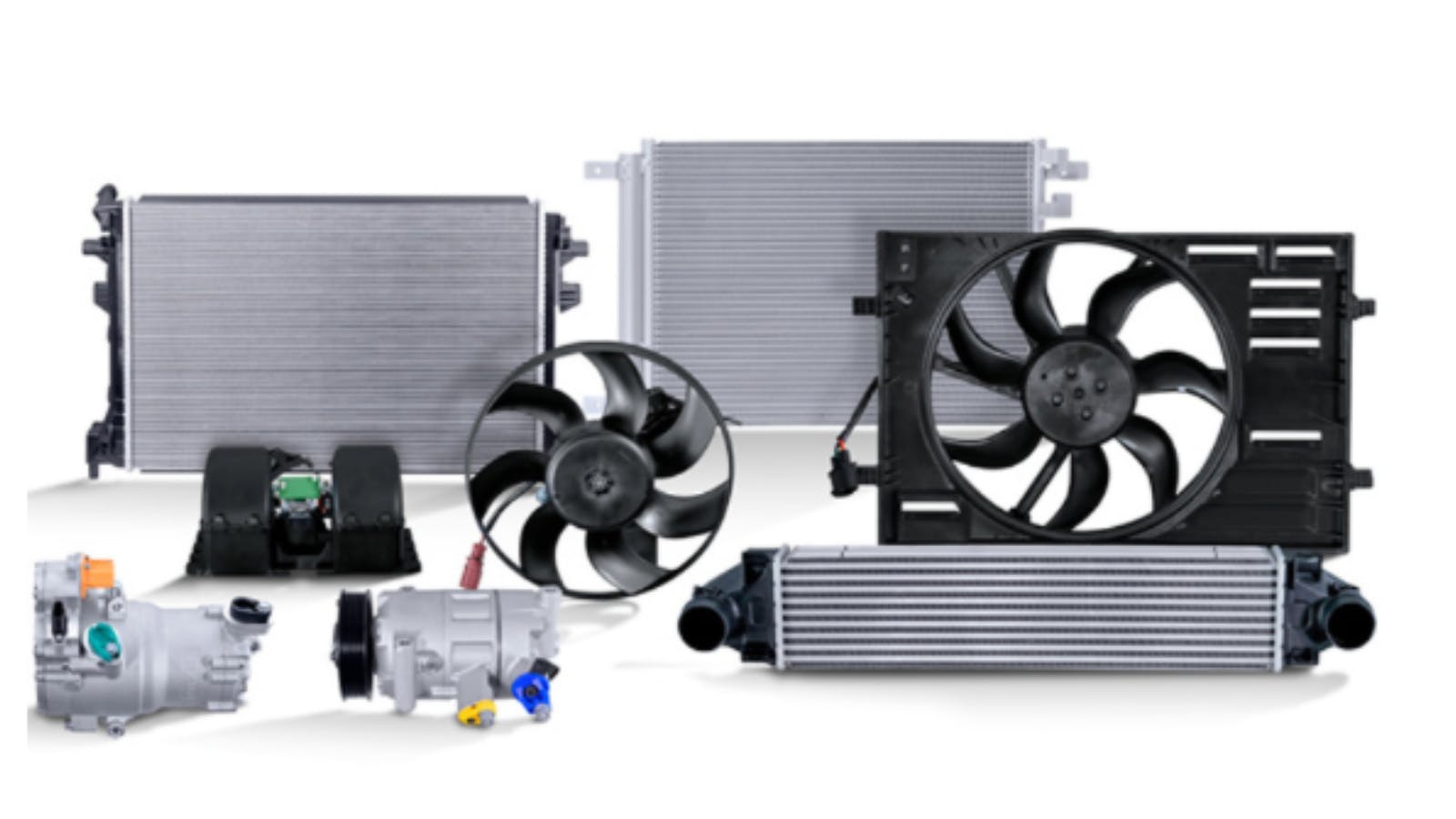 682f16f612bd912a24b566bf Hella