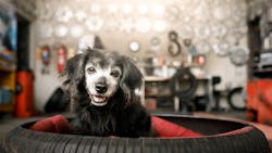 68420aadb6089861d28d300c Gettyimages1172630947 68420aadb6089861d28d300c Gettyimages1172630947