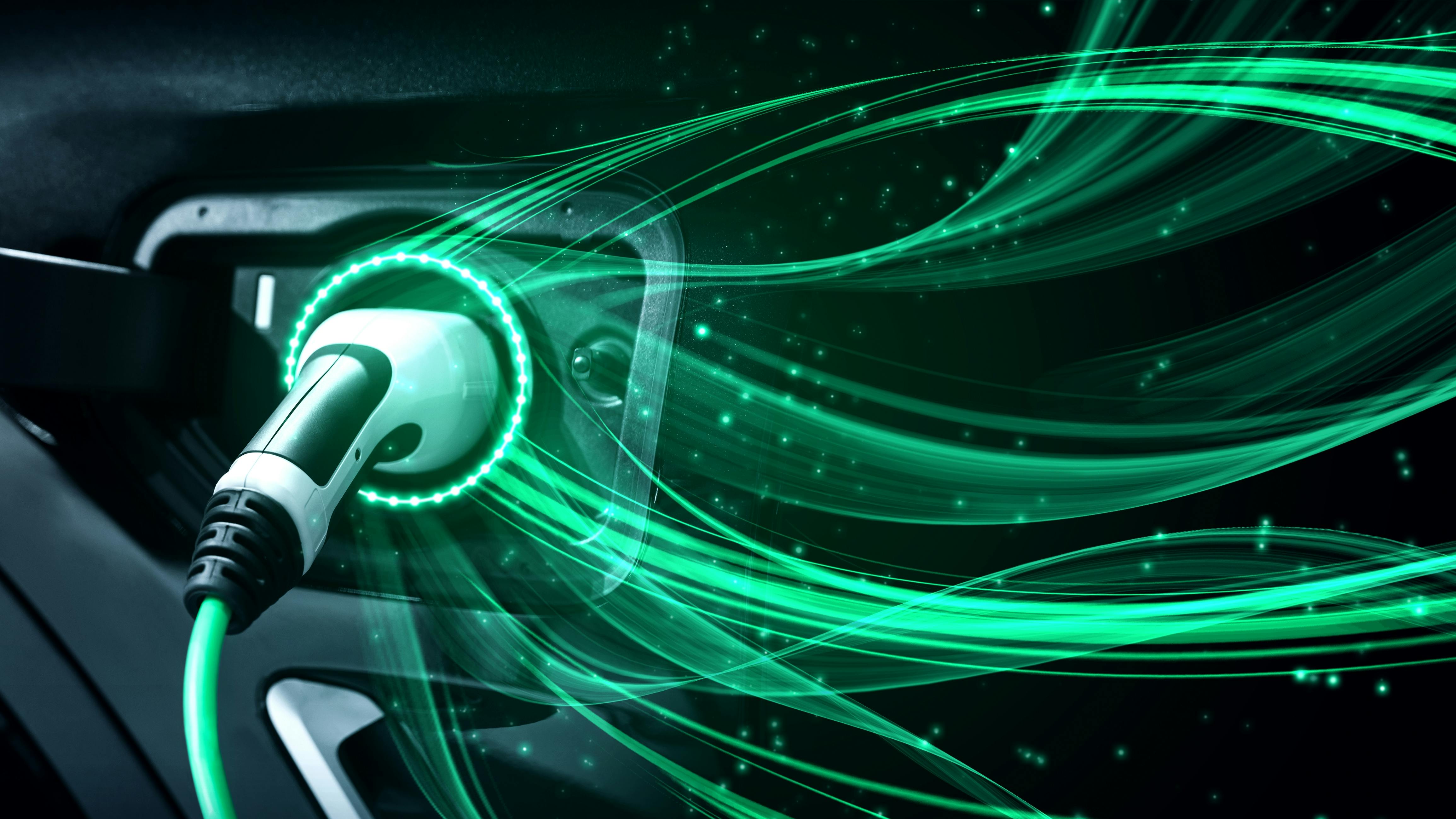 shutterstock_2063831135