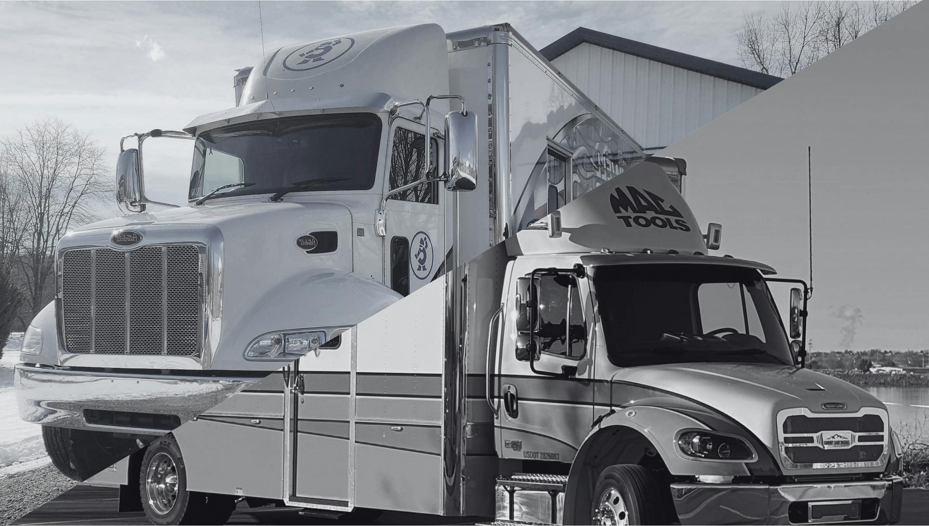 68508b88493d85ebd45c53b6 Mac Dogs 1