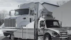 68508b88493d85ebd45c53b6 Mac Dogs 1 68508b88493d85ebd45c53b6 Mac Dogs 1