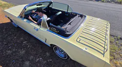aacf_mustang