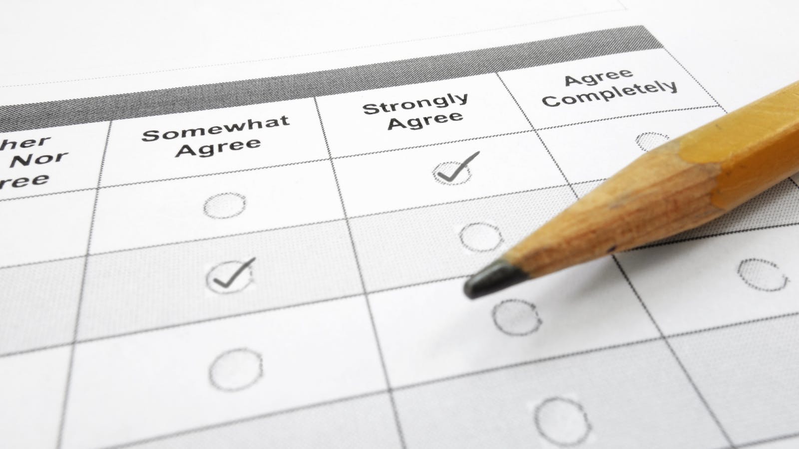 686f210daef65a3f51c42279 Survey