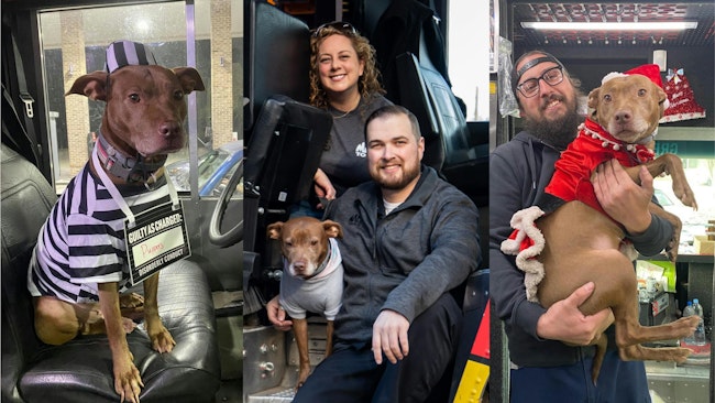 Truck Pup collage