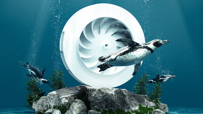 The flippers of a penguin were the model for the slightly curved shape of the blades of MAHLE's new bionic radial blower for automotive air conditioning systems.