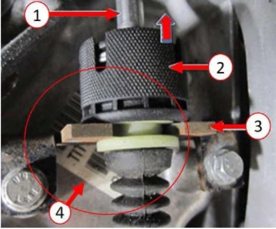 Transmission tag location. 1) Caleb; 2) Release collar; 3) Bracket; 4) Transmission tag.