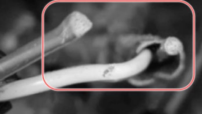 Inspect wiring for damage.