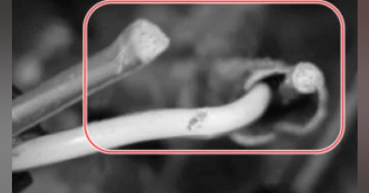 Replacing Ford Mustang EPB connector | Vehicle Service Pros