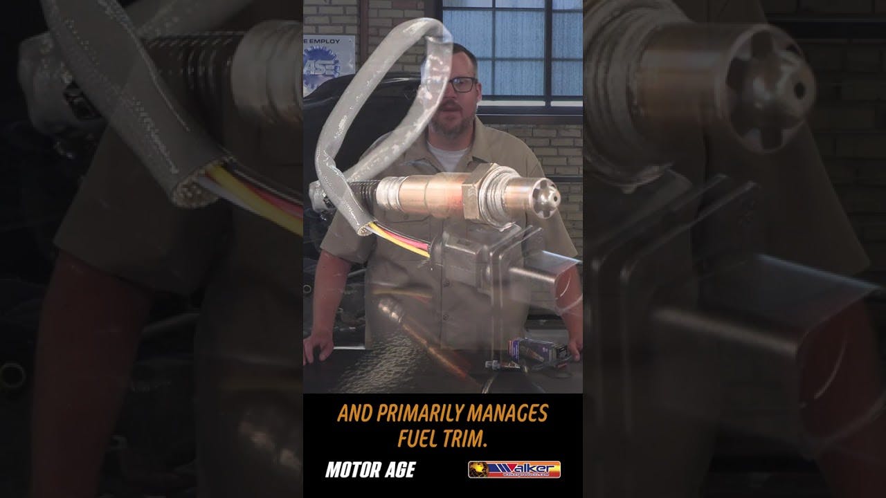 68a7366d3644fbd33b28334b Maxresdefault