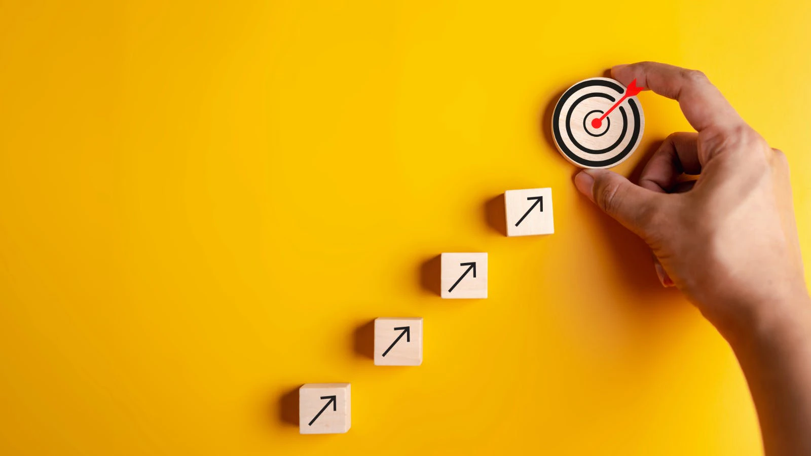 68e5a458d0d26b165c9b9a7b Steps