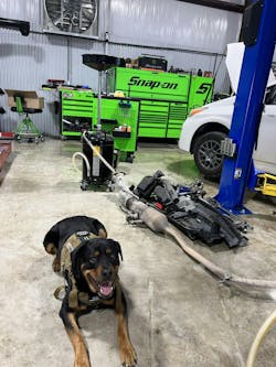 Sometimes Biediger is accompanied by his dog, Rahnie, in the shop. Sometimes Biediger is accompanied by his dog, Rahnie, in the shop.