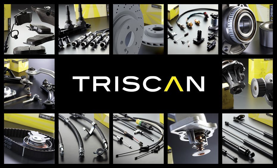 triscan_grid_931px_rgb