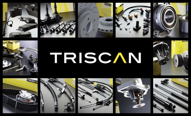 695c0ac1ab7873c7129afb9c Triscan Grid 931px Rgb