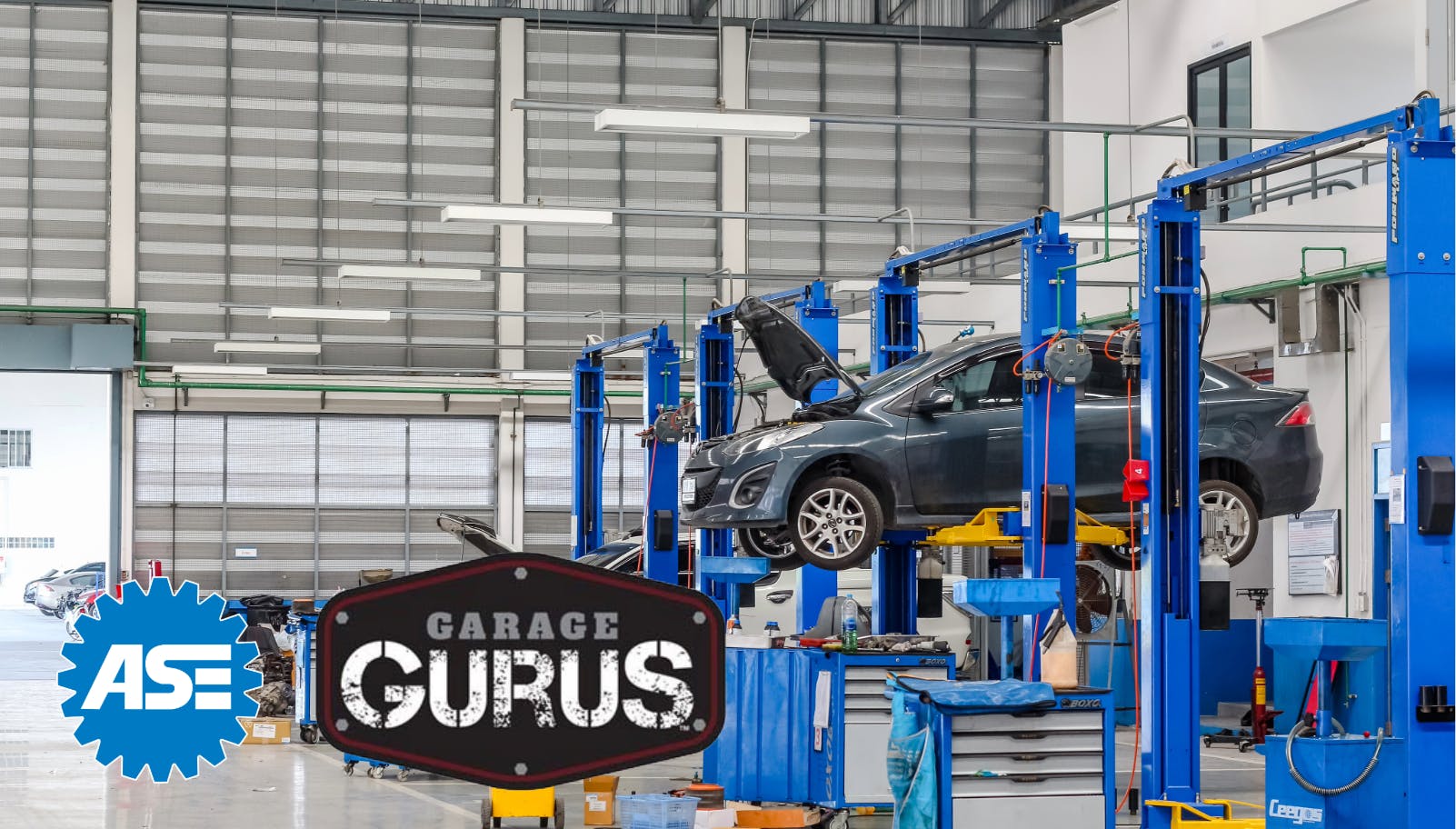 6970e7d197f895df7a2e8263 Ase Gg 1