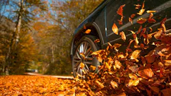 carfallleaves