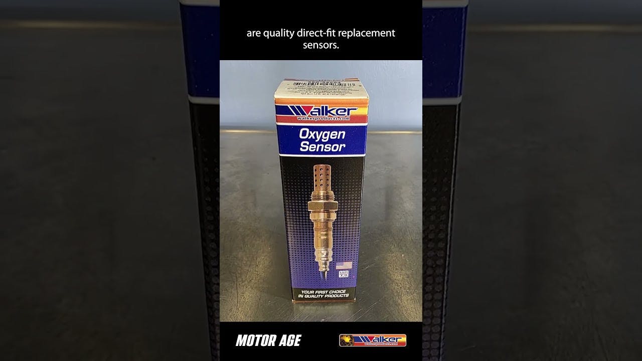 Walker 350 vs 250: Which O2 Sensor Fits the Repair?